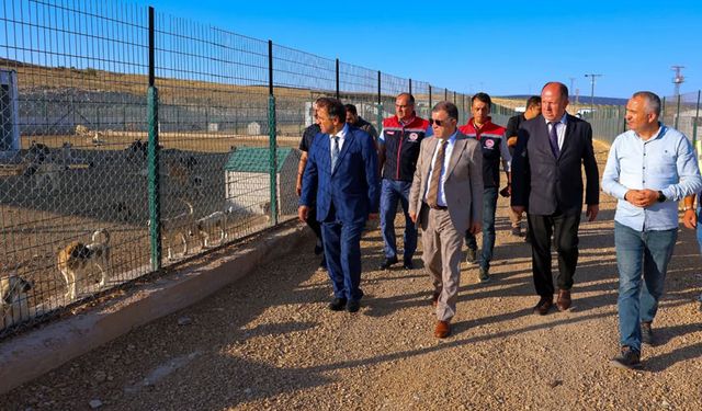 Vali Eldivan ve Bakan Danışmanı Karaca, hayvan barınaklarını inceledi
