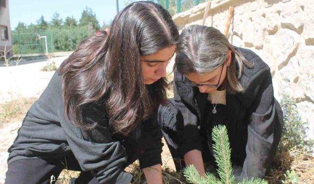 Bayburtlu öğrenciler "Yeşil Vatan" için fidan diktiler