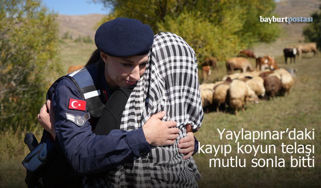 Yaylapınar'daki kayıp koyun telaşı mutlu sonla bitti