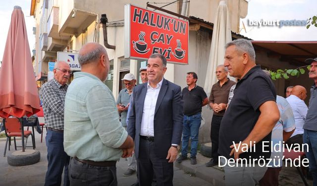 Vali Mustafa Eldivan Demirözü'nde