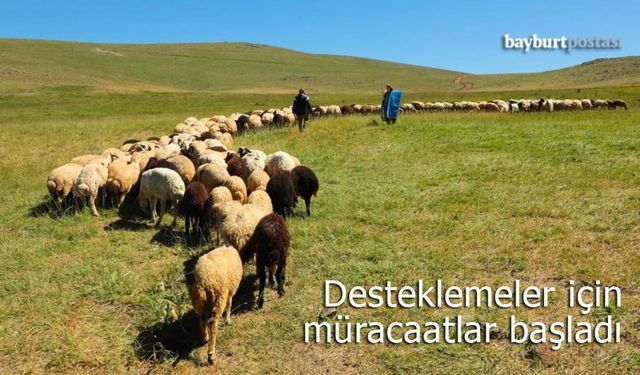 Bayburt İl Tarım ve Orman Müdürlüğü'nden Destekleme Duyurusu