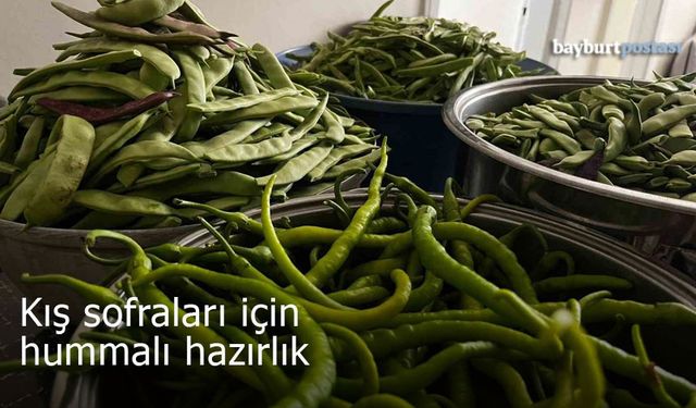 Bayburtlu Kadınlar Kış Sofraları İçin Kolları Sıvadı