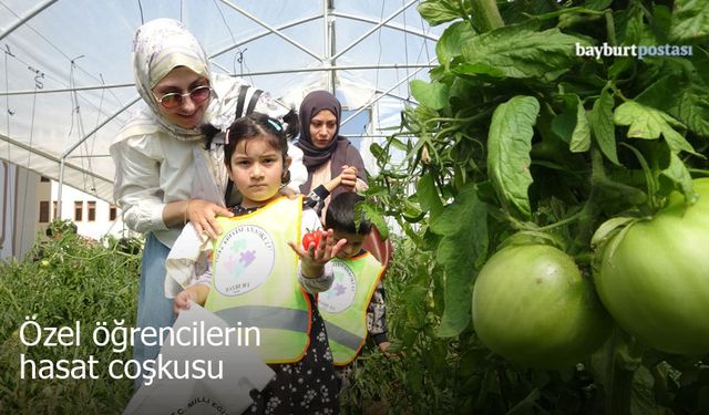 Özel öğrencilerden Bayburt'ta organik sebze hasadı