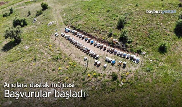 Bayburtlu arıcılara destek müjdesi! Başvurular başladı