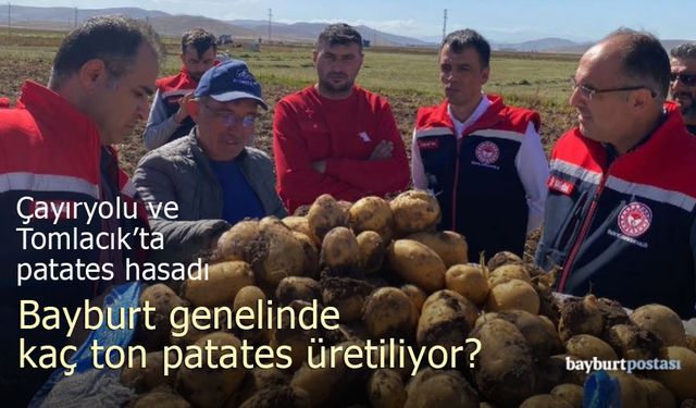 Bayburt Patatesi Piyasada: Yüksek Kalite ve Lezzet Vurgusu