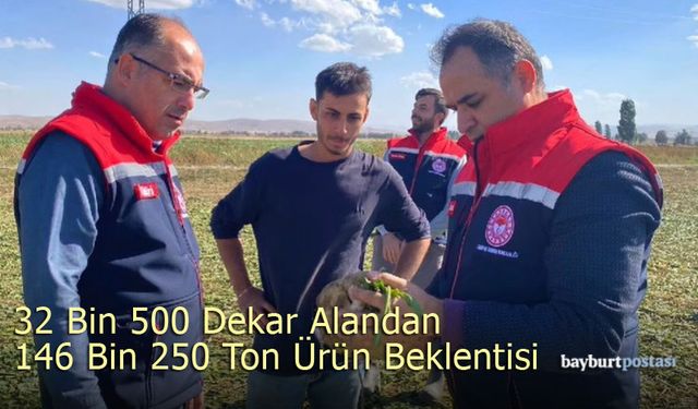 Bayburt'ta 32 Bin 500 Dekar Alandan 146 Bin 250 Ton Ürün Beklentisi