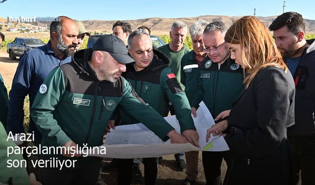 Demirözü'nde arazi toplulaştırma çalışması