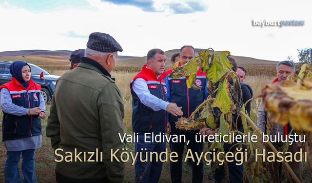 Vali Eldivan, Sakızlı Köyü'nde Ayçiçeği Hasadına Katıldı