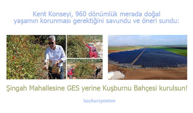 Bayburt Kent Konseyi'nden Şingah Mahallesi için öneri