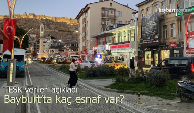 Türkiye'nin en az esnafına sahip şehri Bayburt