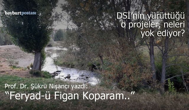 Prof. Dr. Şükrü Nişancı yazdı: "Feryad-ü Figan Koparam.."