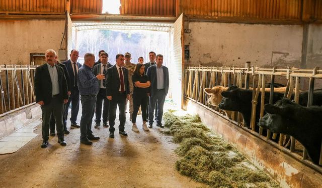 Vali Eldivan, Sancaktepe'de çalışmaları inceledi, vatandaşı dinledi