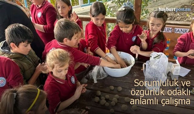 Aydıntepe'de Miniklerden Sorumluluk ve Özgürlük Odaklı Anlamlı Çalışma
