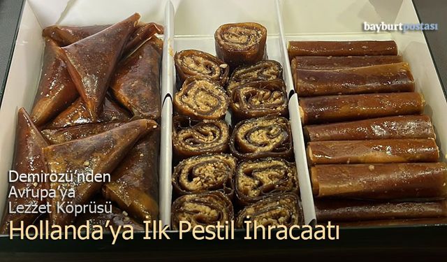Demirözü’nden Avrupa’ya Lezzet Köprüsü: Hollanda’ya İlk Pestil İhracatı