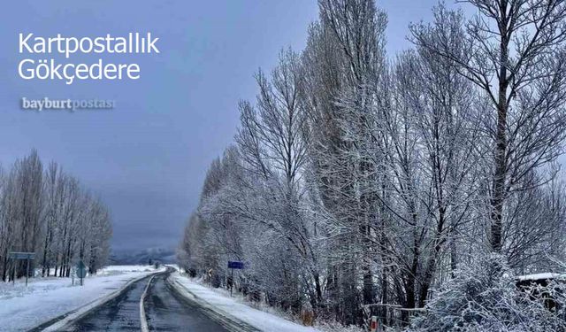 Gökçedere'de Kartpostallık Kar Manzaraları