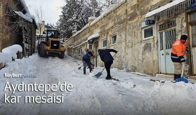 Aydıntepe'de zorlu kar mesaisi