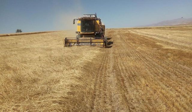 Bayburt’ta Üreticiye Yemlik Arpa Desteği