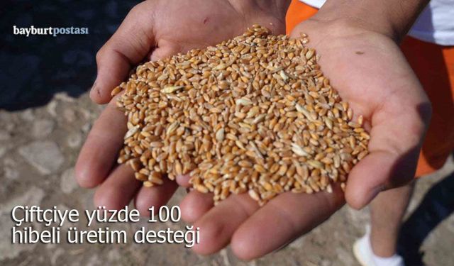 Demirözü’nde Çiftçiye Yüzde 100 Hibeli Üretim Desteği