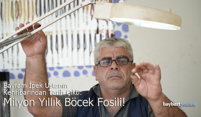 Bayburtlu Ustanın Kehribarından Tarih Çıktı: Milyon Yıllık Böcek Fosili!