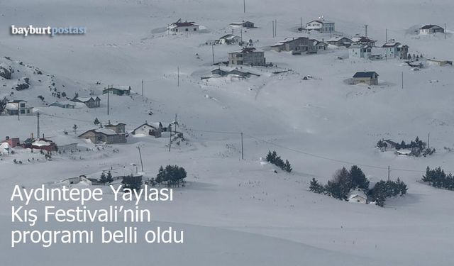 Aydıntepe Yaylası Kış Festivali'nin programı belli oldu