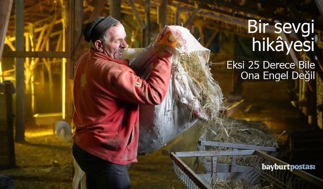 Kar, Kış Demeden Hayvanlarının Peşinde: Fikri Telli’nin İlham Veren Hikayesi