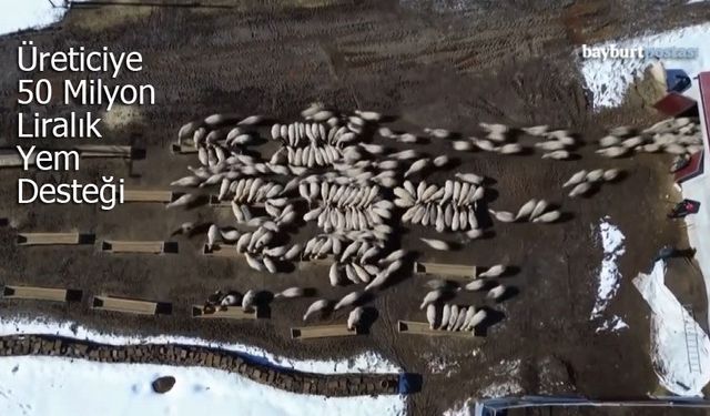 Bayburtlu Üreticiye 50 Milyon Liralık Yem Desteği