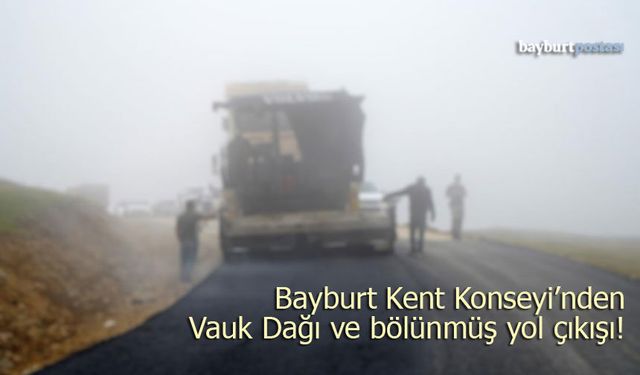 Bayburt Kent Konseyinden "Vauk Dağı" Çıkışı: Yatırım Programına Alınsın!