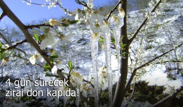 Bayburt için Kritik Uyarı: 4 Gün Sürecek Zirai Don Riski Kapıda