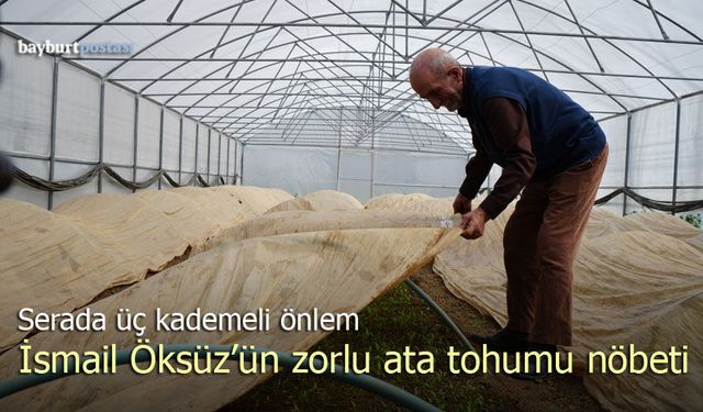 76 Yaşındaki İsmail Öksüz'ün Ata Tohumu Nöbeti: Serada Üç Kademeli Önlem