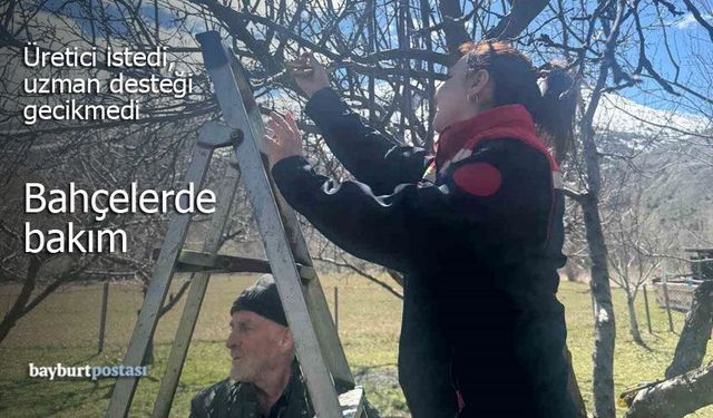 Üretici İstedi, Uzmanlar Geldi: Aydıntepe'de Bahçe Bakımları