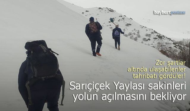 Ayı istilasına uğrayan Sarıçiçek Yaylası’nda ulaşım sorunu çözüm bekliyor