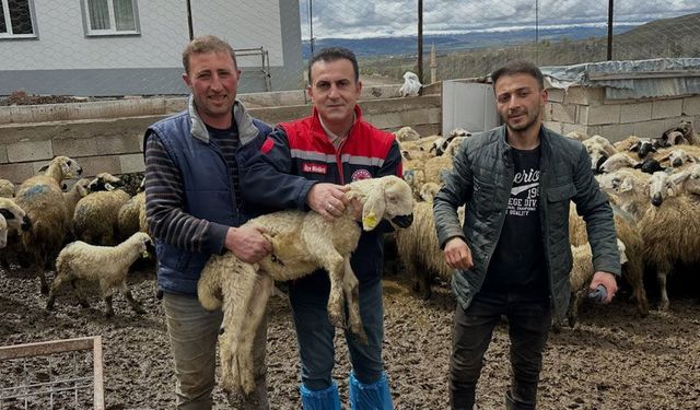 Gümüşdamla Köyünde Küçükbaş Hayvan Denetim
