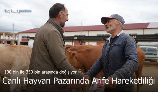 Bayburt Belediyesi Canlı Hayvan Pazarı'nda Arife Hareketliliği