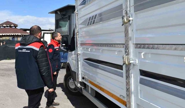 Bayburt’ta bayram öncesi hayvan sevkiyatlarına sıkı denetim