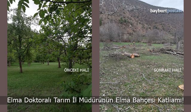 Elma Doktoralı Tarım İl Müdürünün Elma Bahçesi Katliamı!