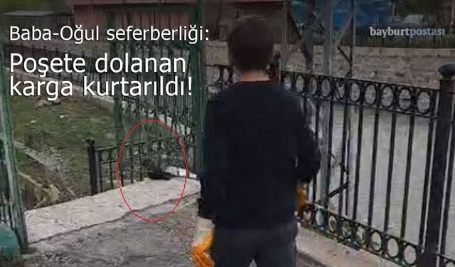 Bayburt’ta Baba-Oğul Seferberliği: Poşete Dolanan Karga Kurtarıldı
