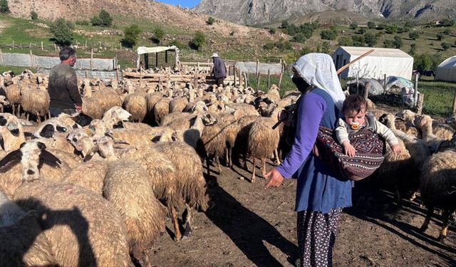 Destek bekleyen üreticilere bakanlıktan dolandırıcılık uyarısı