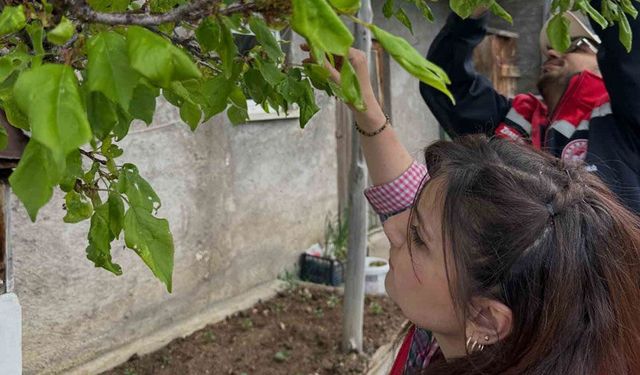 Aydıntepe’deki meyve bahçelerinde hastalık ve zararlı kontrolü yapıldı
