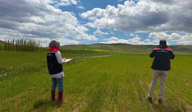 Bayburt’ta Çiftçi Kayıt Sistemi (ÇKS) Ürün Beyanı ve Parsel Kontrolleri Sahada Başladı