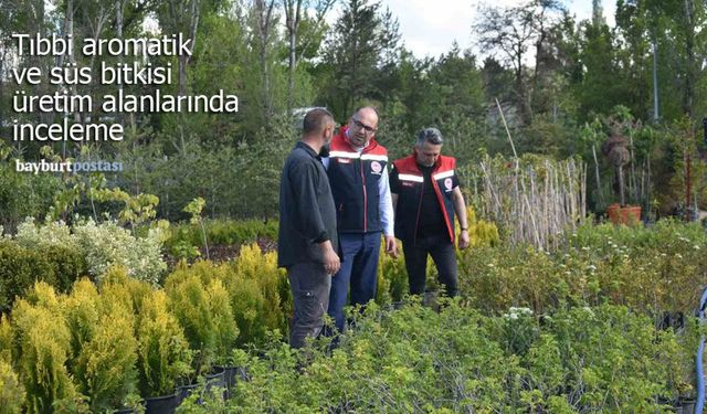 Bayburt’ta Tıbbi Aromatik ve Süs Bitkisi Üretim Alanları İncelendi