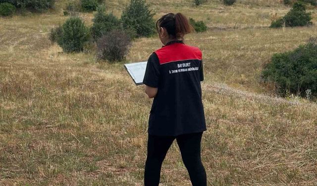 Aydıntepe’de ürün tespit ve ÇKS kontrolleri sürüyor