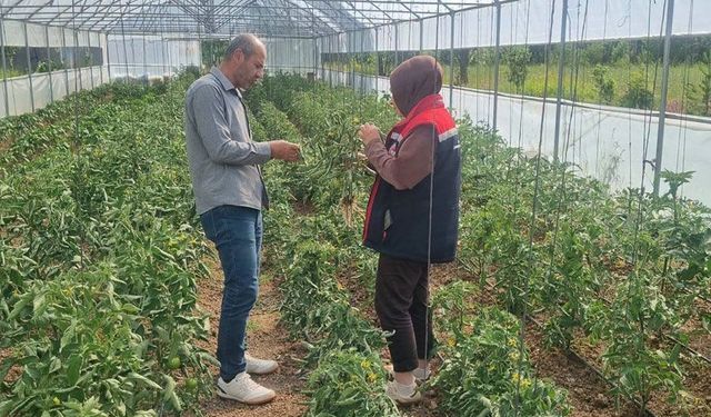 Bayburt'ta ekili alanlarda sağlıklı üretim mesaisi
