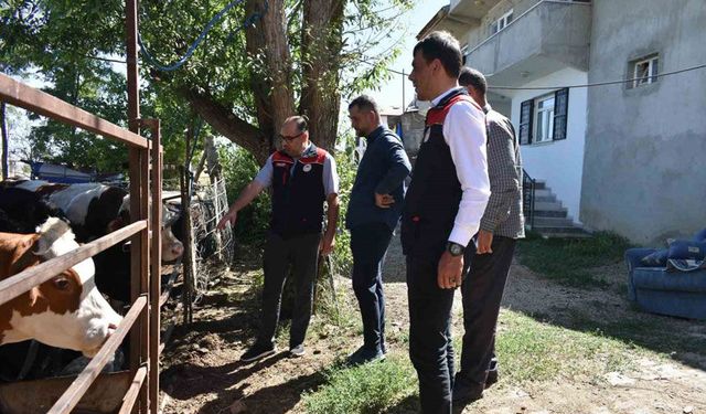 Bayburt'ta Kırsalda Bereket Projesi incelemeleri
