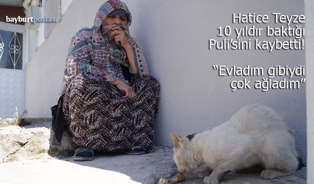 Bayburtlu Hatice Köse, Puli'sini kaybetti: "Evladım gibiydi, çok ağladım"