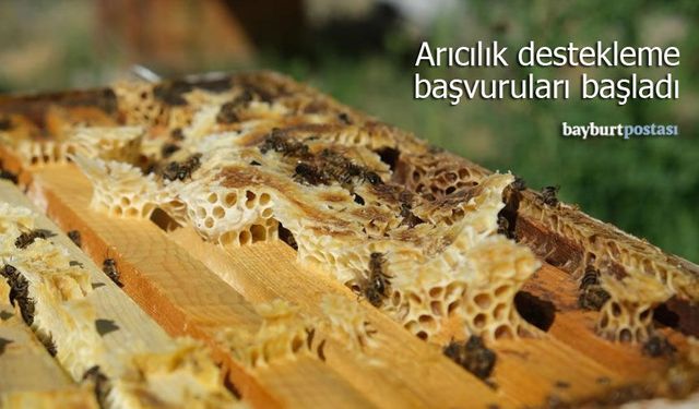 Bayburt’ta arıcılık destekleme başvuruları başladı