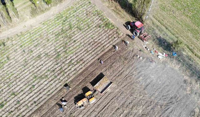 Bayburt'ta 2027 üretim yılı ÇKS başvuruları devam ediyor