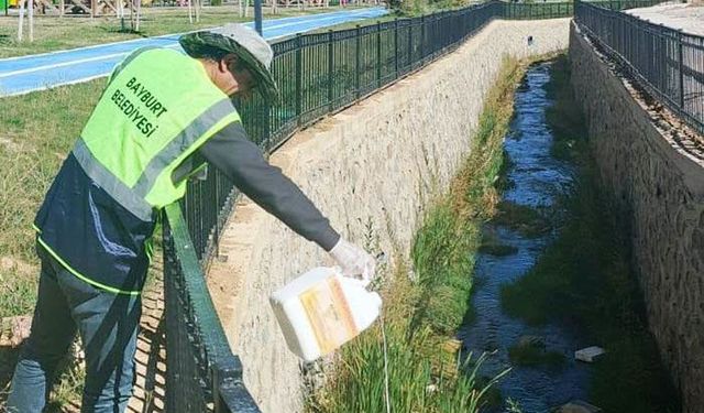 Bayburt’ta sivrisinek ve haşerelere karşı ilaçlama sürüyor