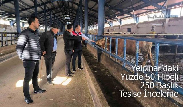 Yelpınar’da Yüzde 50 Hibe Destekli 240 Başlık Tesise İnceleme