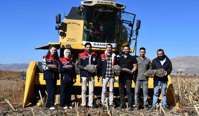 Bayburt’ta Ayçiçeği Hasat Kontrolü