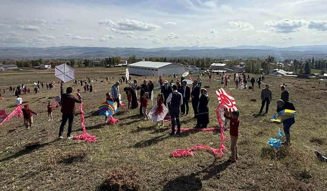 Aydıntepe'de uçurtma coşkusu